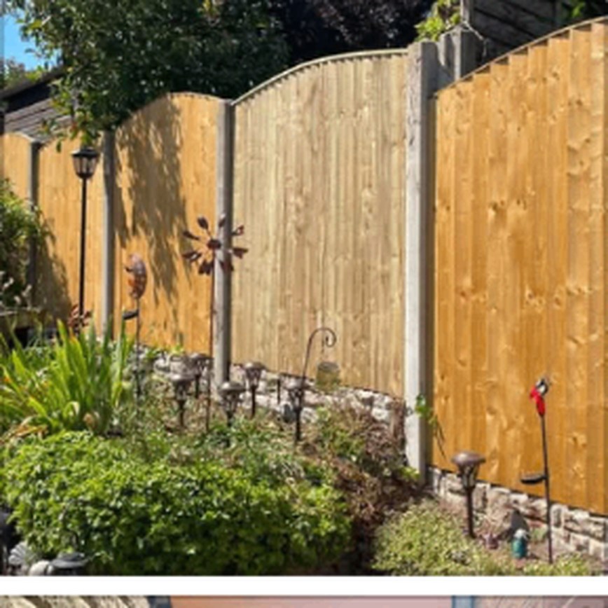 Arched top fence panels in a planted garden