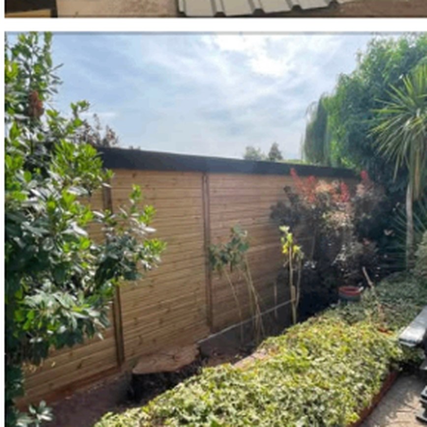 New timber fencing behind established garden planting